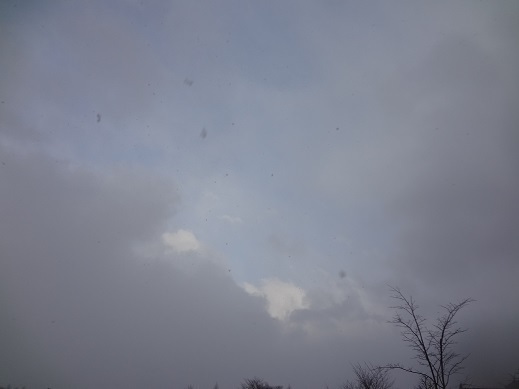 2015-03-10-1.jpg
