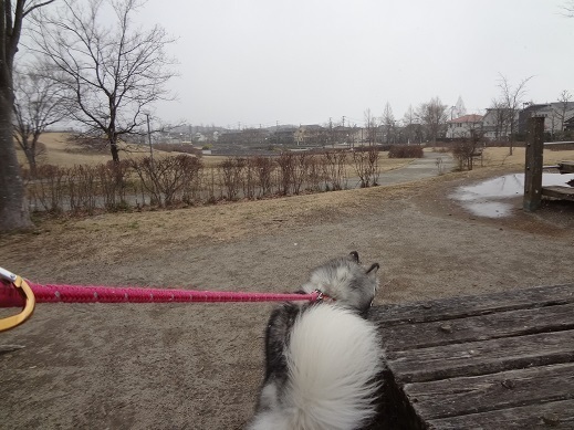2015-03-10-3.jpg