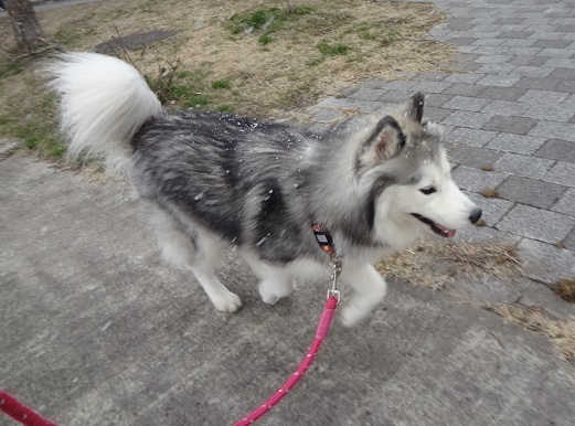 2015-03-10-4.jpg