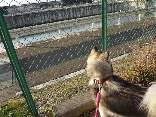 2015-03-12-6.jpg