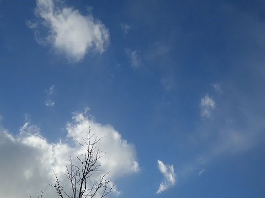 2017-02-24-1.jpg