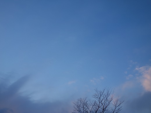 2017-02-26-1.jpg