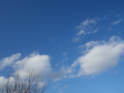 2017-02-28-1.jpg