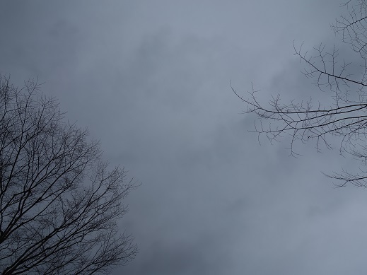 2017-03-27-1.jpg