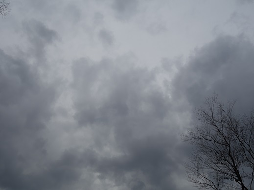 2017-03-31-1.jpg