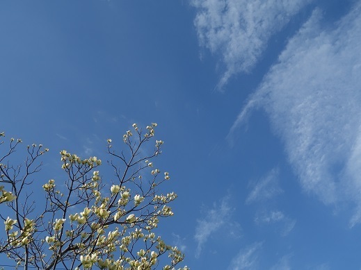 2017-04-27-1.jpg