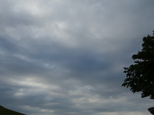 2017-05-27-1.jpg