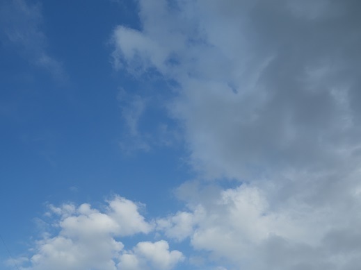 2017-06-26-1.jpg