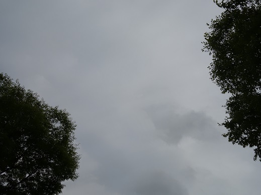 2017-06-27-1.jpg