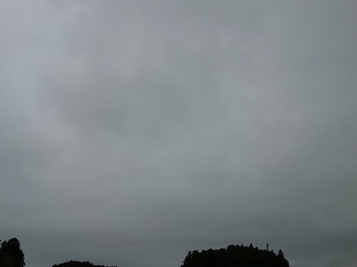 2017-07-29-1.jpg