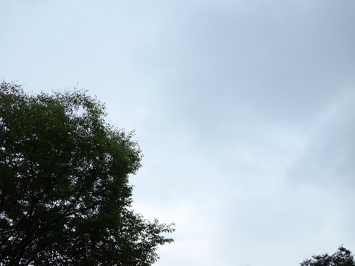2017-08-30-2.jpg