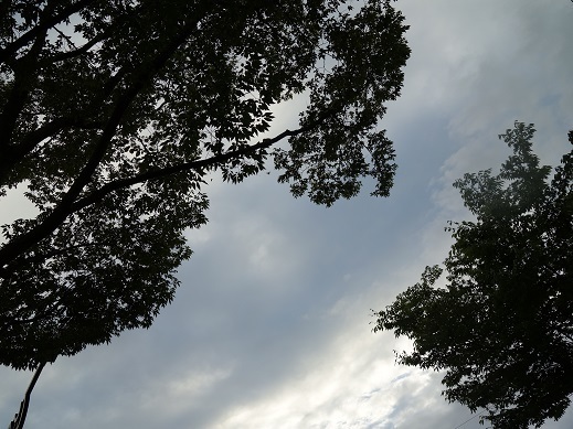 2017-08-31-1.jpg