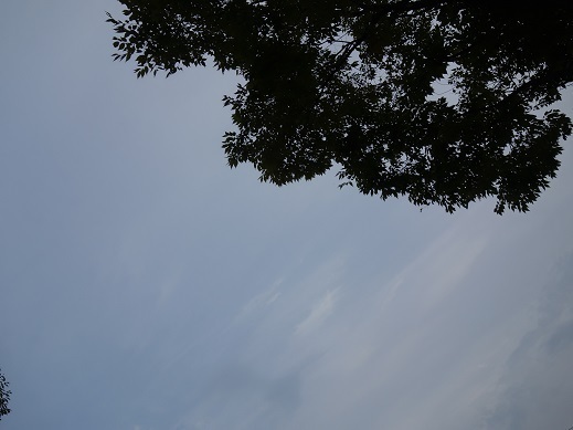 2017-09-27-2.jpg