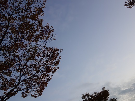 2017-10-27-1.jpg