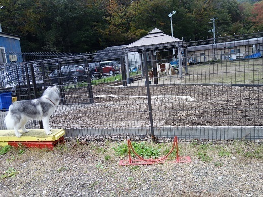 2017-10-28-2.jpg