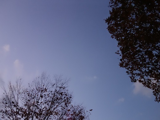 2017-10-30-1.jpg