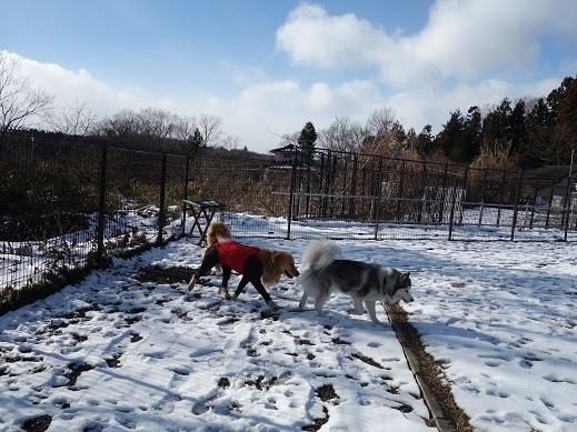 2017-12-30-2.jpg