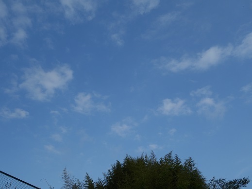 2018-05-27-1.jpg