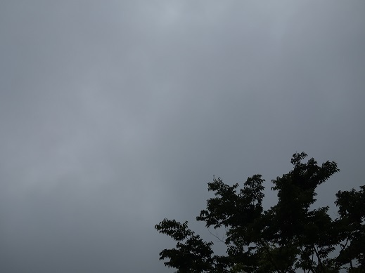 2018-06-26-1.jpg