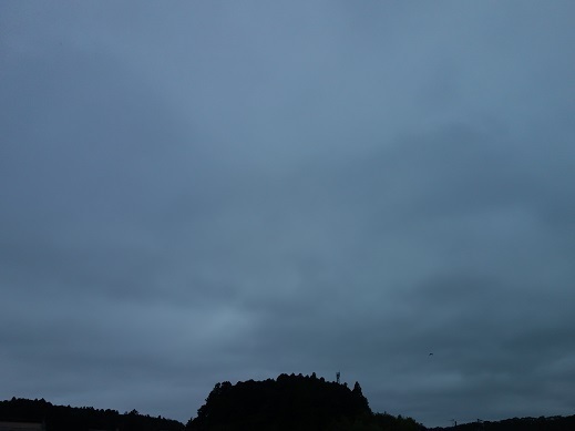 2018-07-28-2.jpg