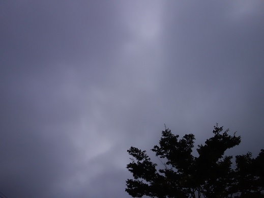 2018-07-30-2.jpg