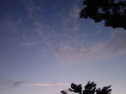 2018-07-31-1.jpg