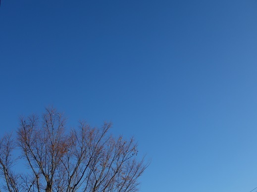 2018-11-26-1.jpg