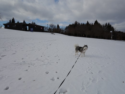 2018-12-31-3.jpg