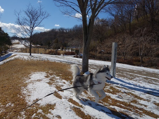 2019-01-27-4.jpg