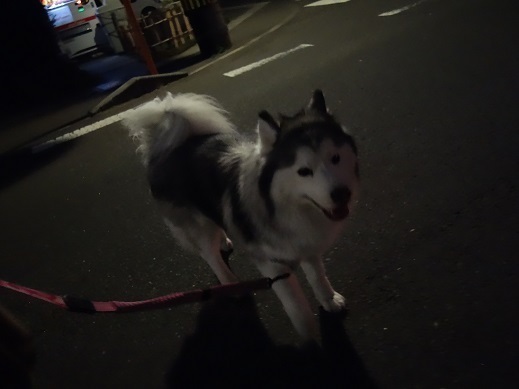 2019-02-25-1.jpg