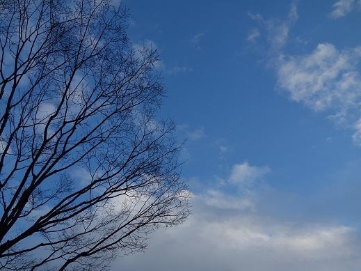 2019-03-31-3.jpg