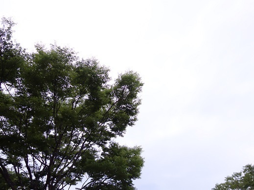 2019-05-28-2.jpg