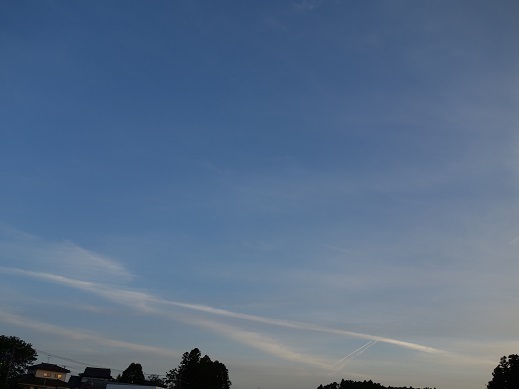 2019-05-30-3.jpg