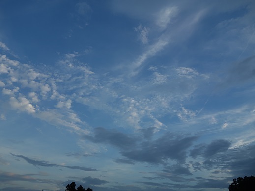 2019-07-27-1.jpg