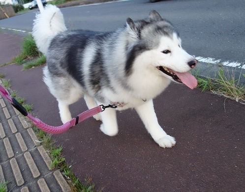 2019-07-28-3.jpg