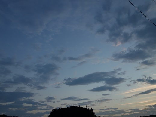 2019-07-29-1.jpg