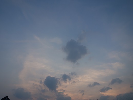 2019-07-30-1.jpg