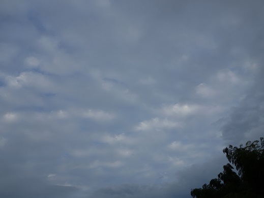 2019-08-28-2.jpg