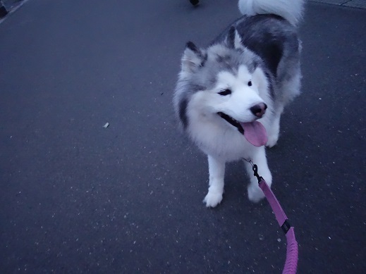 2019-08-29-1.jpg