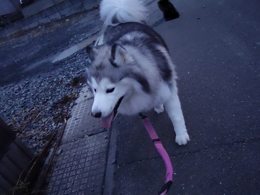 2019-08-29-3.jpg