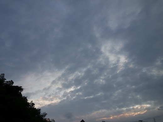 2019-08-30-2.jpg