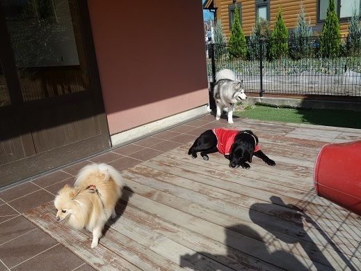 2019-10-06-2.jpg