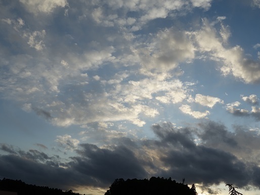 2019-10-27-3.jpg