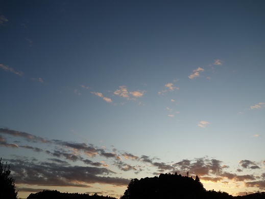 2019-10-28-2.jpg