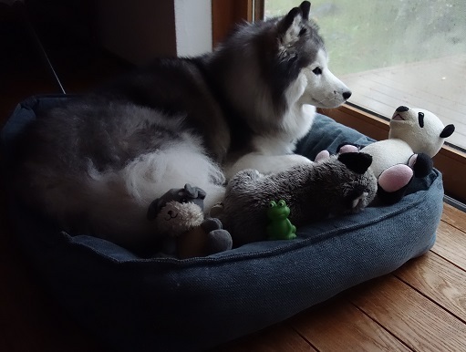 2019-10-29-1.jpg
