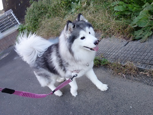2019-10-30-1.jpg