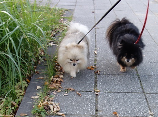 2019-10-30-2.jpg