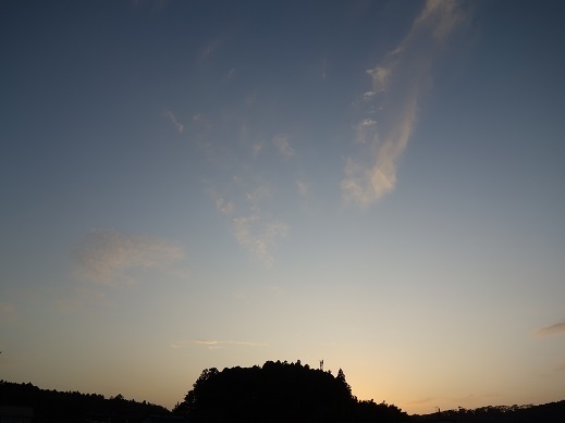 2019-10-31-1.jpg