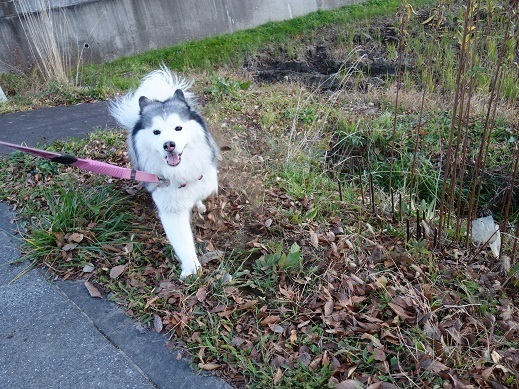 2019-11-26-3.jpg