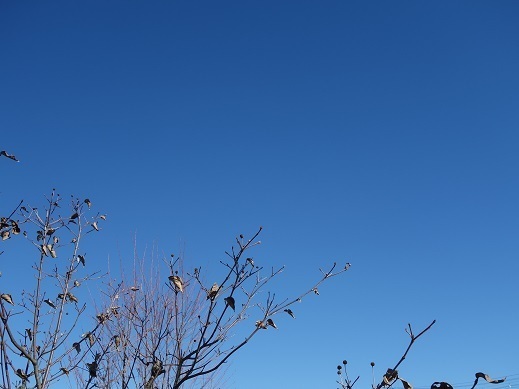 2019-12-28-2.jpg